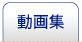 動画集